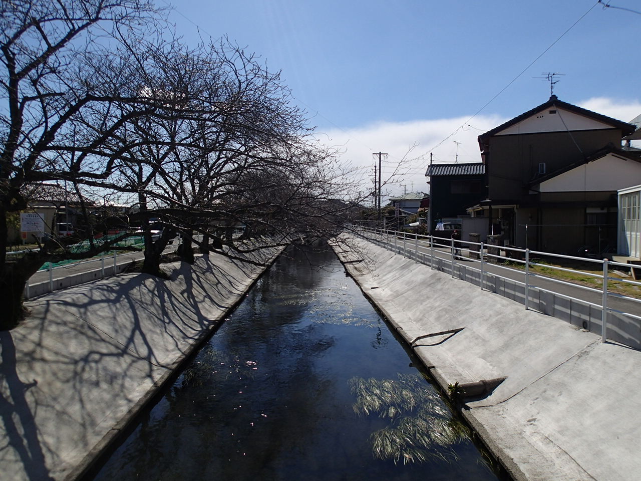 平成25年度　（準）小石川護岸嵩上工事（その1）